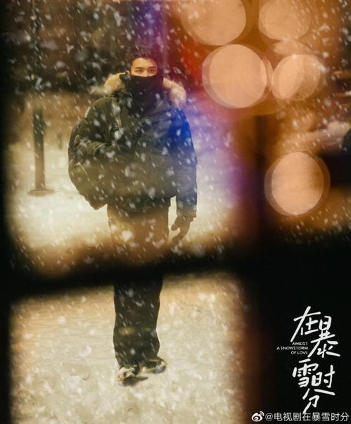 《在暴雪时分》殷果为什么来赫尔